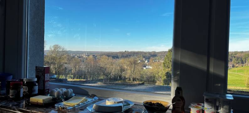 靠近开满鲜花的池塘(Aux étangs fleuris)图片