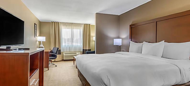 舒适套房酒店(Comfort Inn & Suites)图片