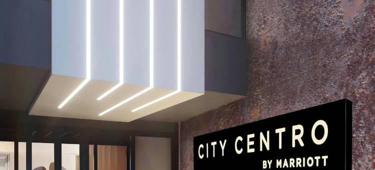 阿根廷乌斯怀亚万豪City Centro酒店(City Centro By Marriott Ushuaia Argentina)图片