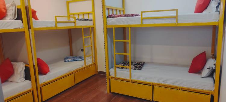 贝德韦瑟背包客青年旅馆(Bedweiser Backpackers Hostel)图片