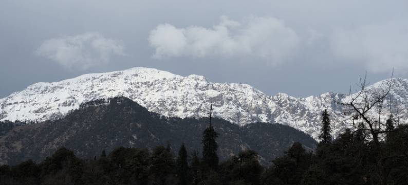 希拉克套房山顶(Saalak Suites On HIlltop)图片