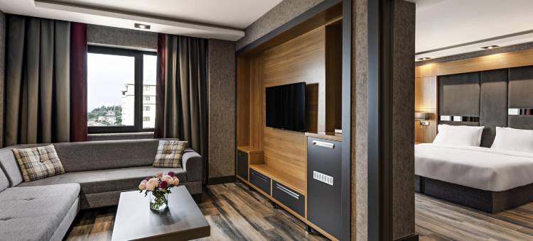 特拉布宗瑞享酒店(Mövenpick Hotel Trabzon)图片