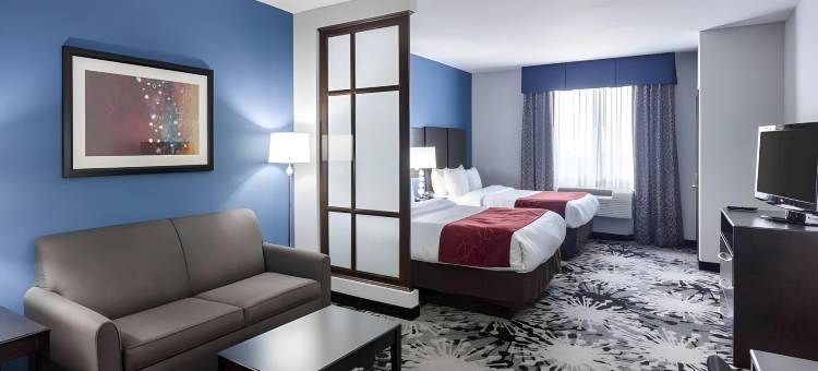 格林维尔舒适套房酒店(Comfort Suites Greenville)图片