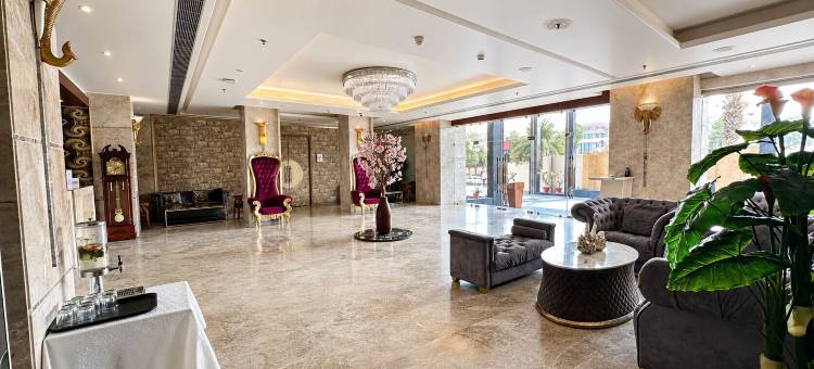 金色郁金香酒店库卡斯齐普尔(Golden Tulip Kukas Jaipur)图片