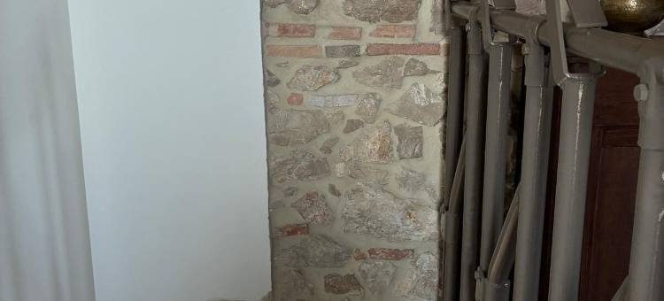 奇尔切奥团结农场(FATTORIA SOLIDALE DEL CIRCEO)图片