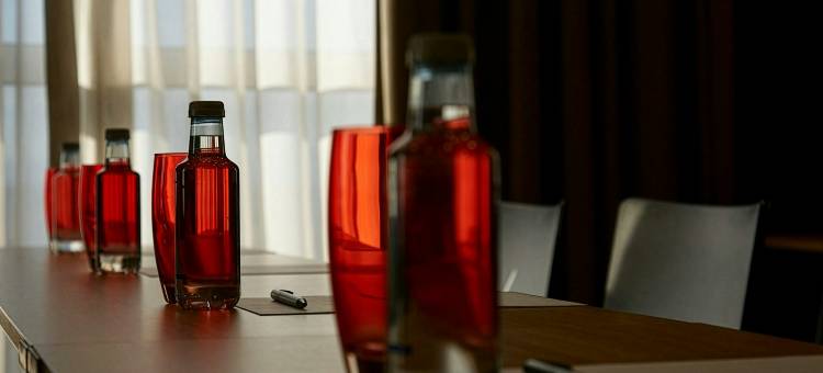 蒙卡达斯考特而酒店(Sercotel Ciutat de Montcada)图片