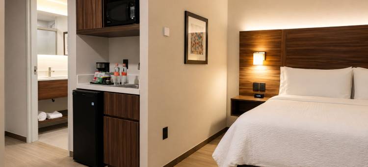 卡曼海滩智选假日套房酒店(Holiday Inn Express & Suites PLAYA DEL CARMEN by IHG)图片
