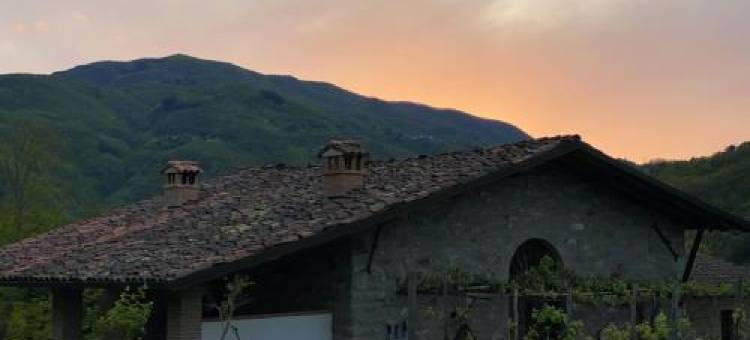 Comfortable House with Pool in Castelnuovo di Garfagnana图片