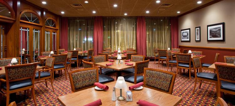 Holiday Inn 扬斯敦南(博德曼)(Holiday Inn YOUNGSTOWN-SOUTH (BOARDMAN) by IHG)图片