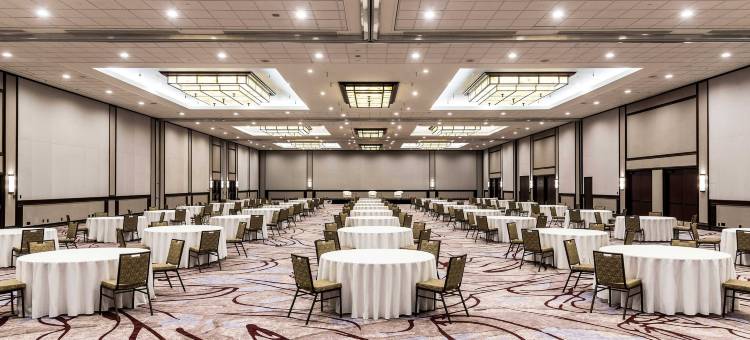 渥太华威斯汀酒店(The Westin Ottawa)图片