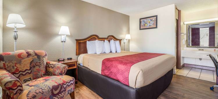 伊克诺套房旅馆(Econo Lodge Inn & Suites)图片