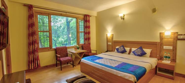 伍德斯托克酒店(Woodstock Inn Manali)图片