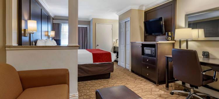 圣克莱门特海滩舒适套房酒店(Comfort Suites San Clemente Beach)图片