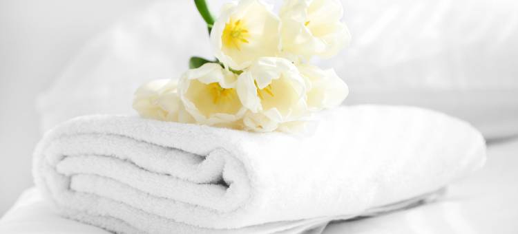 威尔明顿酒店(Wilmington Inn)图片