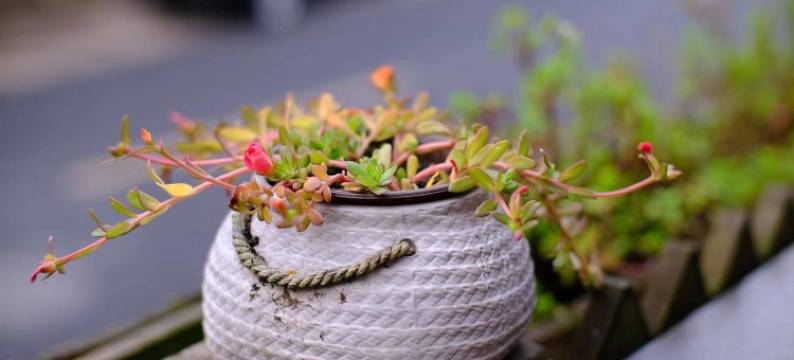 沐曦民宿(满觉陇路1号分店)图片