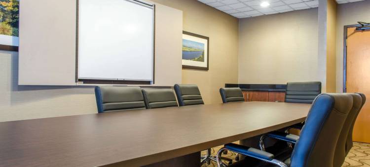 比洛西克-蒂贝维尔舒适套房酒店(Comfort Inn & Suites Biloxi-d'Iberville)图片