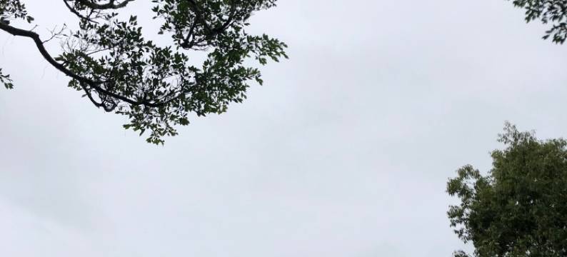 维多利公寓(麒麟桥分店)图片