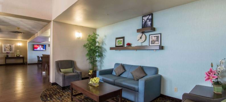 舒适套房酒店南机场店(Comfort Inn & Suites Airport South)图片