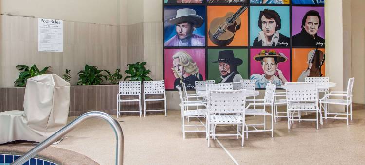 洲际酒店集团旗下纳什维尔市中心体育场假日酒店(Holiday Inn Nashville Downtown - Stadium)图片