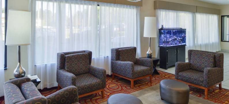 巴斯特罗普美洲最佳价值套房酒店(Americas Best Value Inn and Suites Bastrop)图片