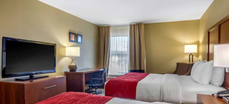 舒适套房酒店(Comfort Inn & Suites)图片