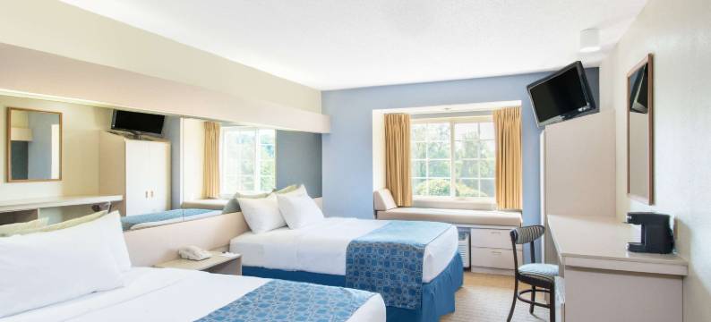 塞内卡福尔斯温德姆麦客达套房酒店(Microtel Inn & Suites by Wyndham Seneca Falls)图片