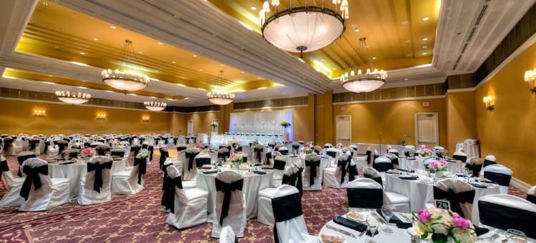 希尔顿尼亚加拉瀑布/瀑布景观套房酒店(Hilton Niagara Falls/ Fallsview Hotel and Suites)图片