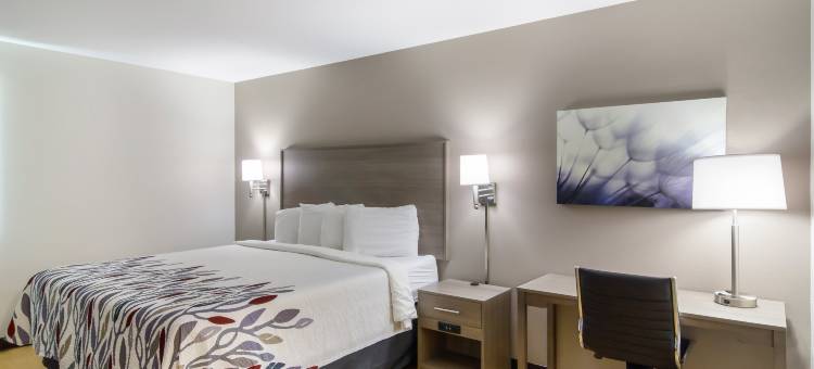 达里恩 - I-95/北布伦瑞克红屋顶酒店(Red Roof Inn Darien - I-95/ North Brunswick)图片