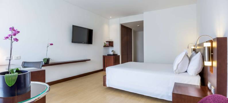 皇家城市93号NH酒店(NH Bogotá Urban 93 Royal)图片