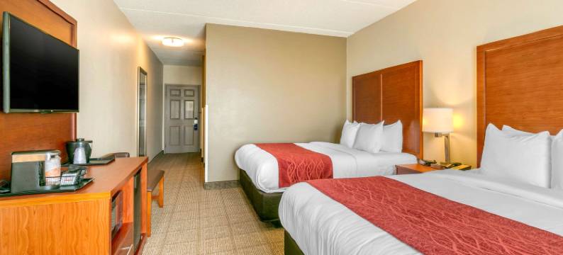 纳什维尔富兰克林冷泉舒适套房酒店(Comfort Inn & Suites Nashville Franklin Cool Springs)图片