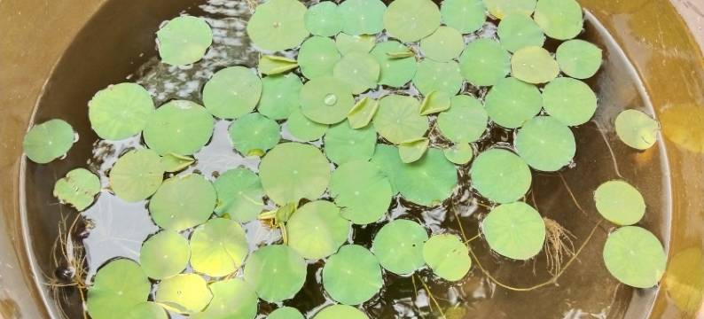 南山麓公寓(江滨中路分店)图片