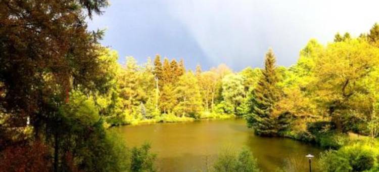 高登安卡酒店(Hotel Goldner Anker)图片