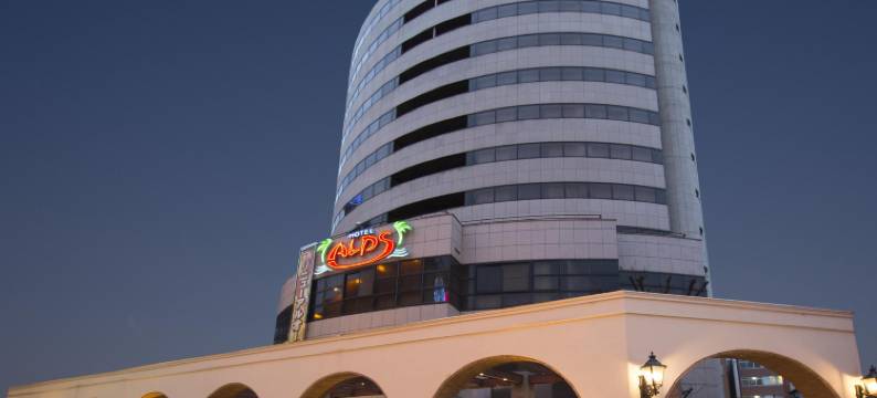 Alps酒店(Hotel Alps Osaka)图片