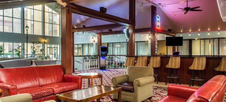 卡温顿-曼德维尔舒适套房酒店(Comfort Inn & Suites Covington - Mandeville)图片