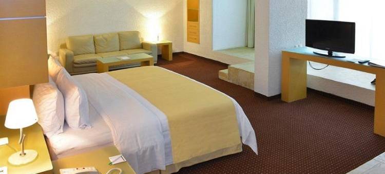 Holiday Inn 莫雷利亚(Holiday Inn MORELIA by IHG)图片