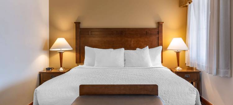 沙漠贝斯特韦斯特酒店(Best Western Desert Inn)图片