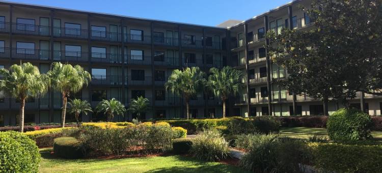 布埃纳维斯塔湖迪士尼清泉温德姆花园酒店(Wyndham Garden Lake Buena Vista Disney Springs® Resort Area)图片