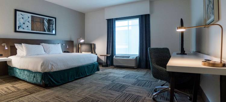 斯帕坦堡希尔顿花园酒店(Hilton Garden Inn Spartanburg)图片