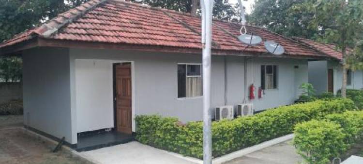 Friends Paradise图片