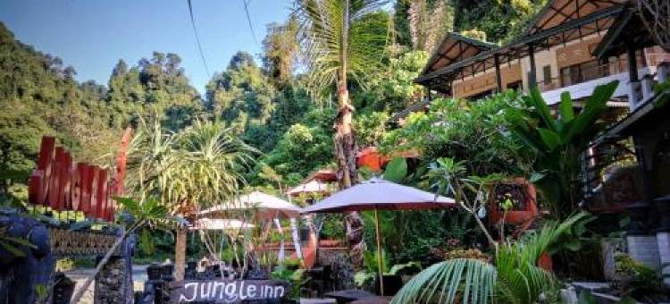 Jungle Inn Bukit Lawang图片