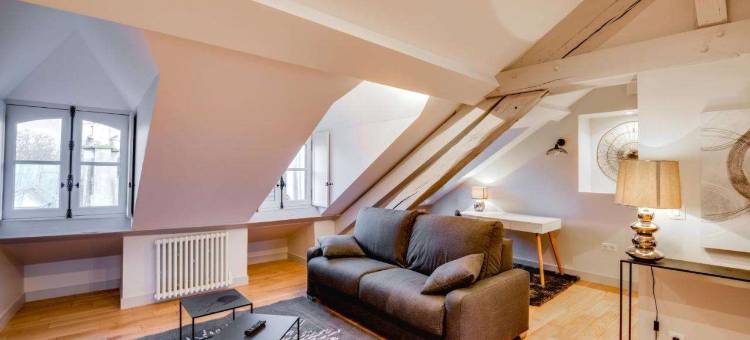 昂克勒路易斯公寓酒店(Apparts de l'Oncle Louis)图片