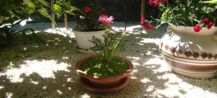 Studio Apartment Lile图片