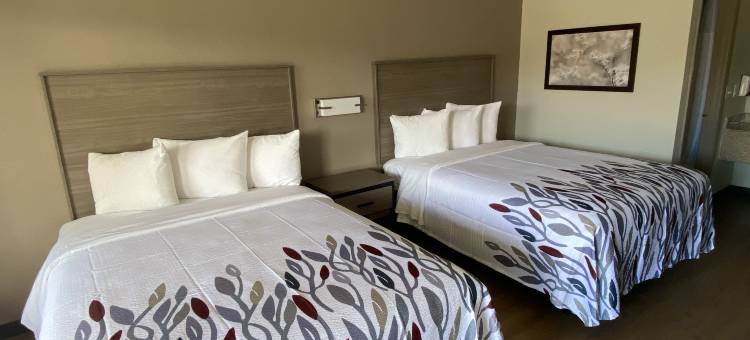 阿拉巴马杰克逊维红屋顶酒店(Red Roof Inn Jacksonville, Al)图片