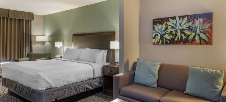 印第奥科切拉谷智选假日酒店(Holiday Inn Express & Suites INDIO - COACHELLA VALLEY by IHG)图片
