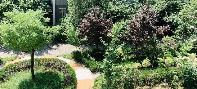 晞仔小筑(半坡路分店)图片