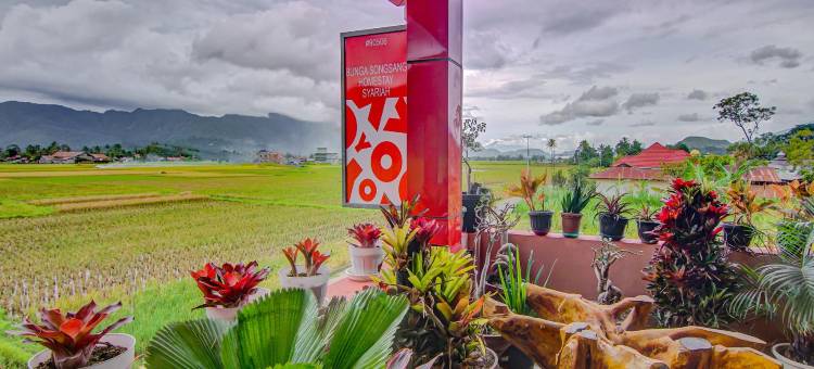 Reddoorz Syariah Near Tirtasari Sonsang Dan Banto Royo图片