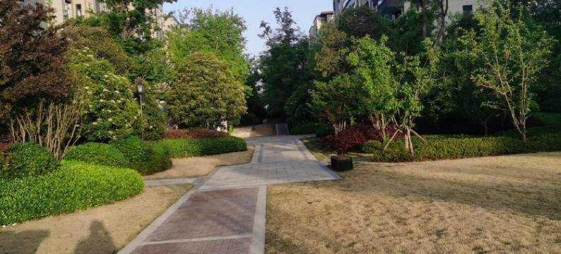 银基国际旅游度假区民宿(观老路分店)图片