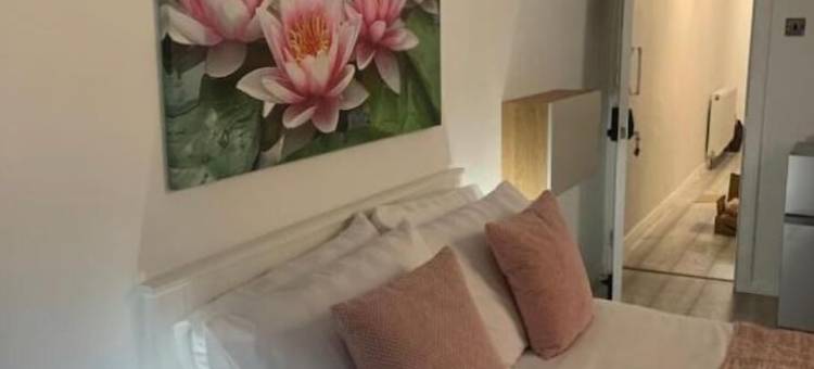 Bloomsbury House - Modern Studios Near Anfield图片