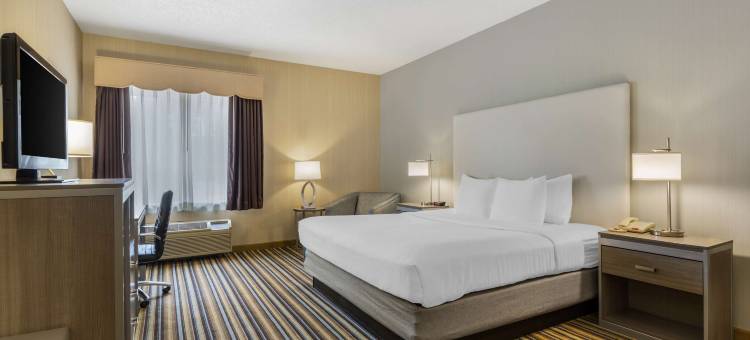 新英格兰贝斯特韦斯特优质套房酒店(Best Western Plus New England Inn  Suites)图片