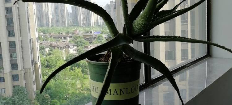 紧到长不乖的温馨小窝公寓(平祥路分店)图片